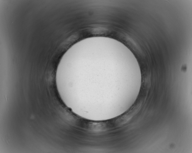 X0000100980277200807151422