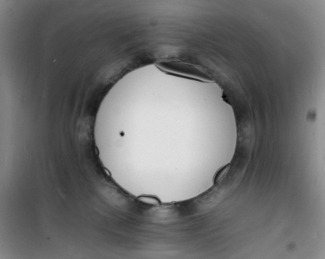 X0000100980280200807151422