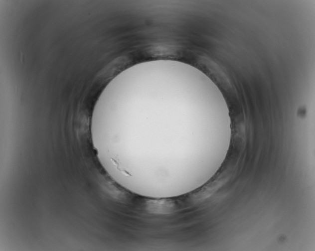 X0000100980281200807151422