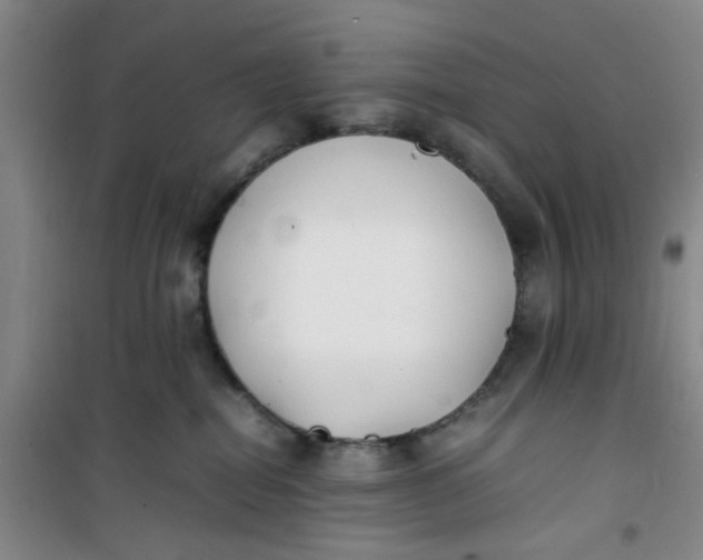 X0000100980282200807151422