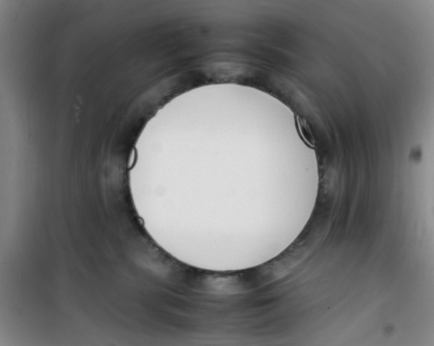 X0000100980283200807151422