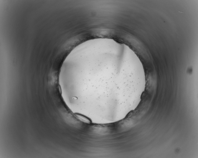 X0000100980284200807151422