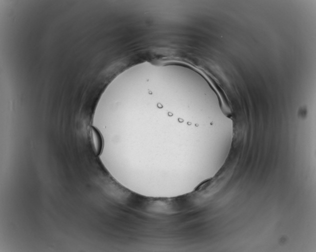 X0000100980285200807151422