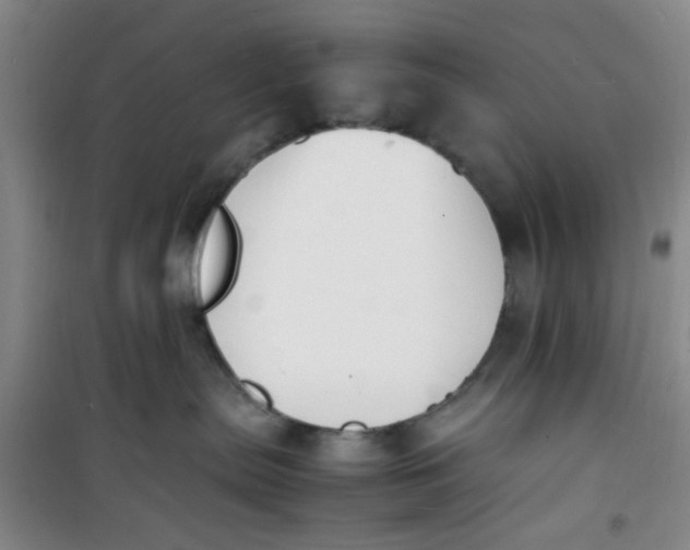 X0000100980287200807151422