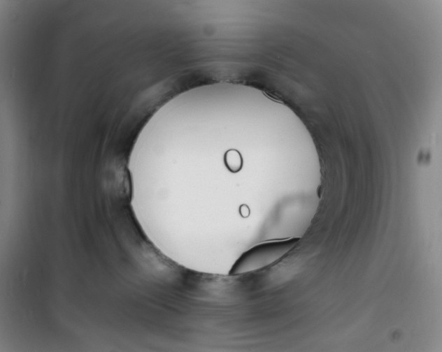 X0000100980288200807151422