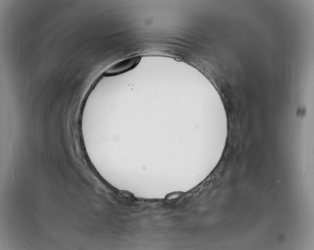 X0000100980289200807151422