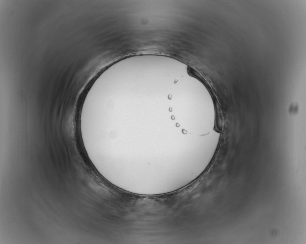 X0000100980290200807151422