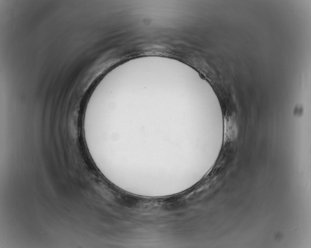 X0000100980291200807151422