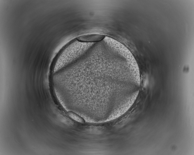 X0000100980292200807151422