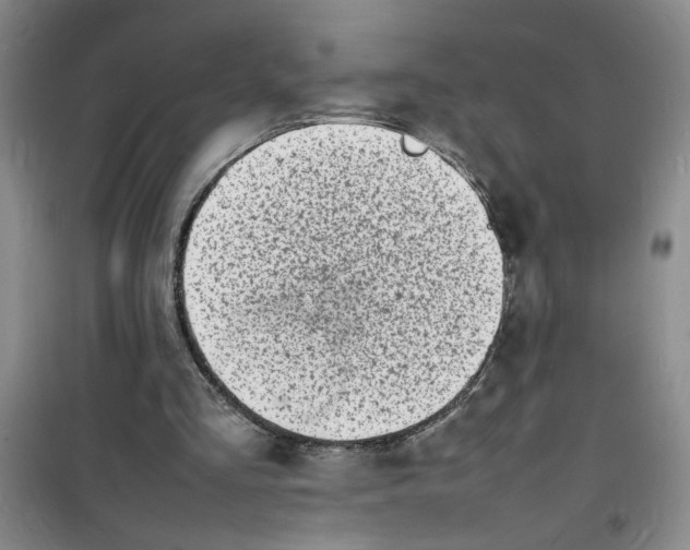 X0000100980293200807151422