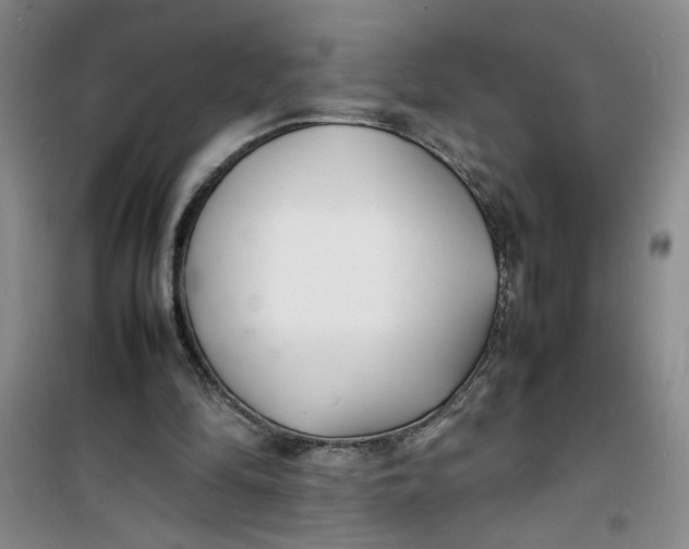 X0000100980294200807151422