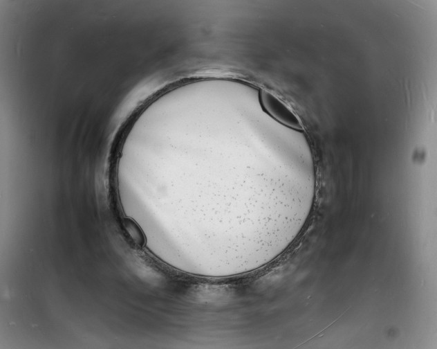 X0000100980296200807151422