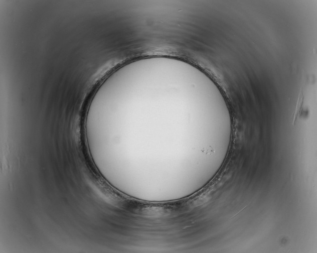 X0000100980298200807151422