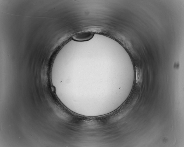 X0000100980300200807151422