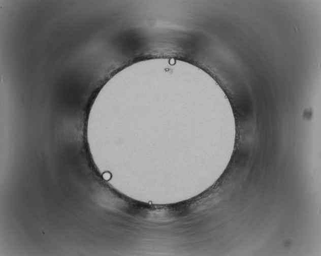 X0000100980309200807151421