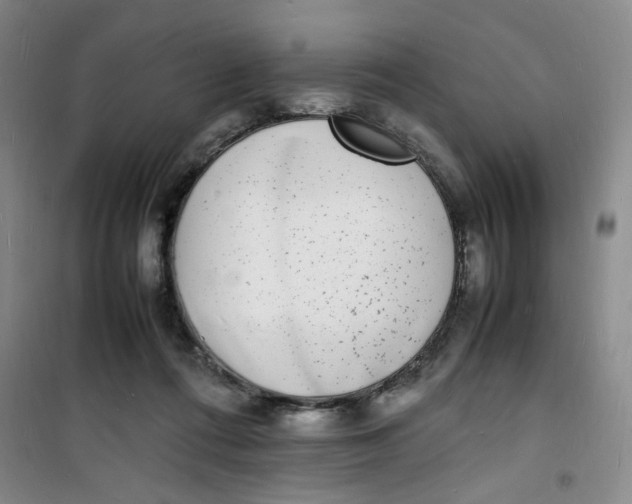 X0000100980312200807151421