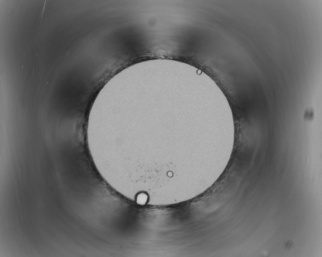 X0000100980313200807151421