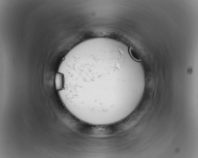 X0000100980315200807151421