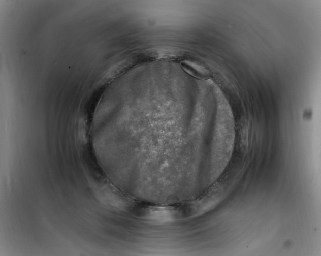 X0000100980316200807151421