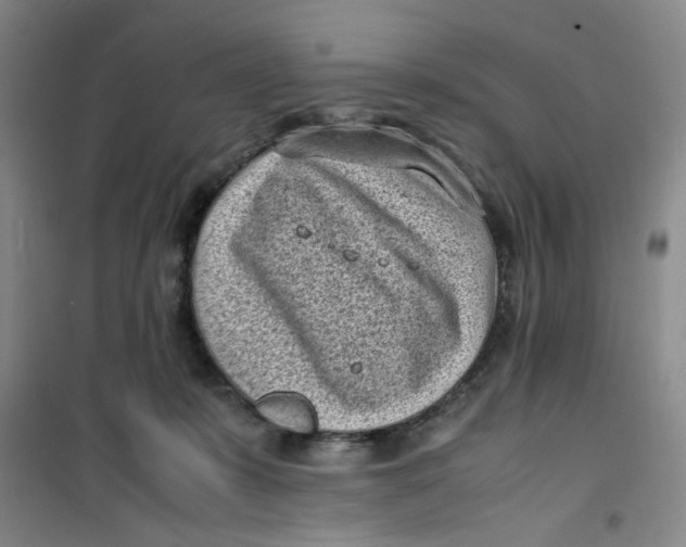 X0000100980319200807151421