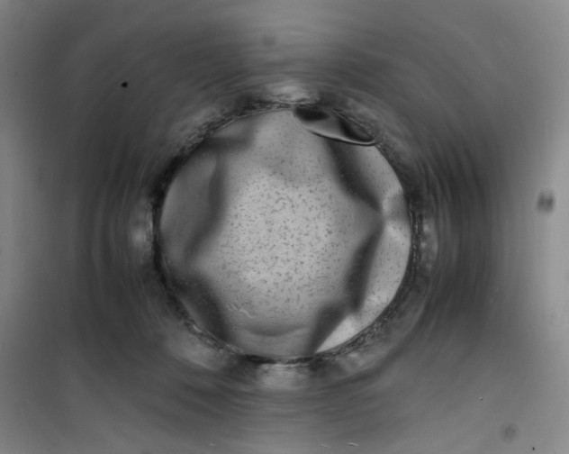 X0000100980320200807151421