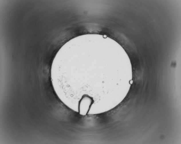 X0000100980321200807151421