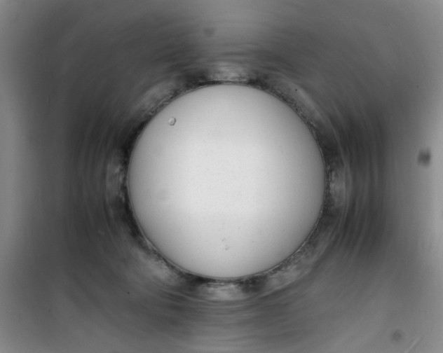 X0000100980322200807151421