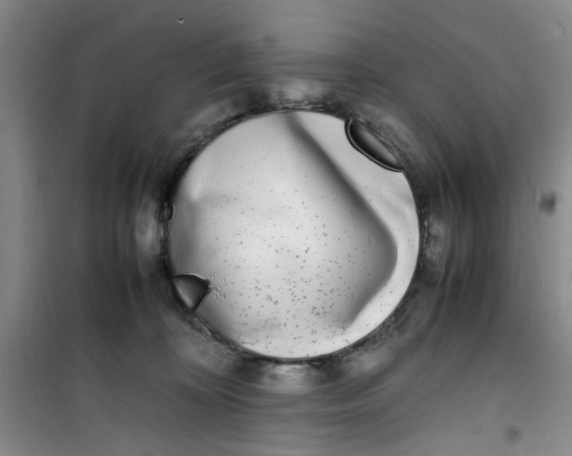 X0000100980324200807151421