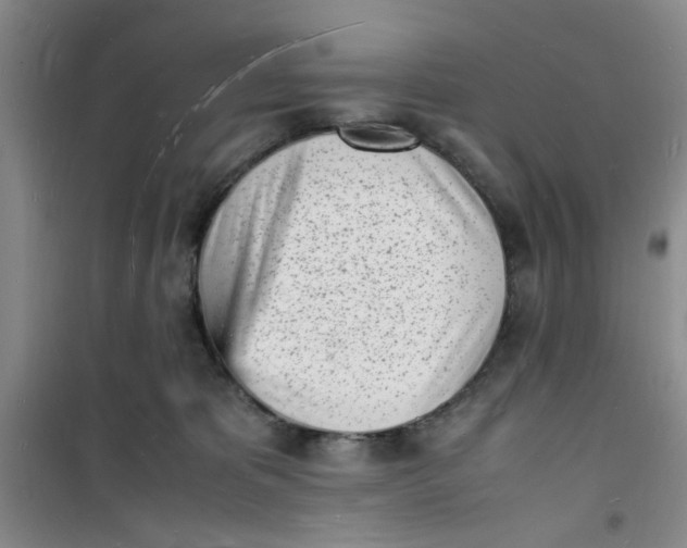 X0000100980325200807151421