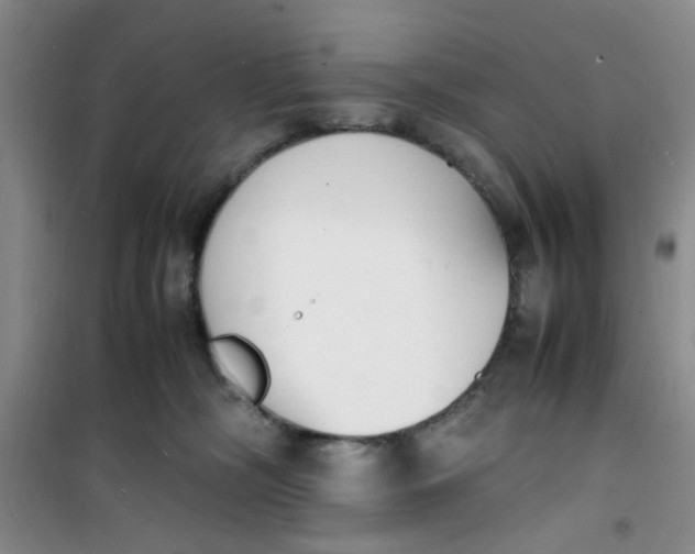 X0000100980326200807151421