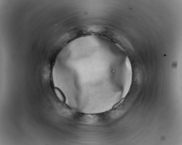 X0000100980328200807151421