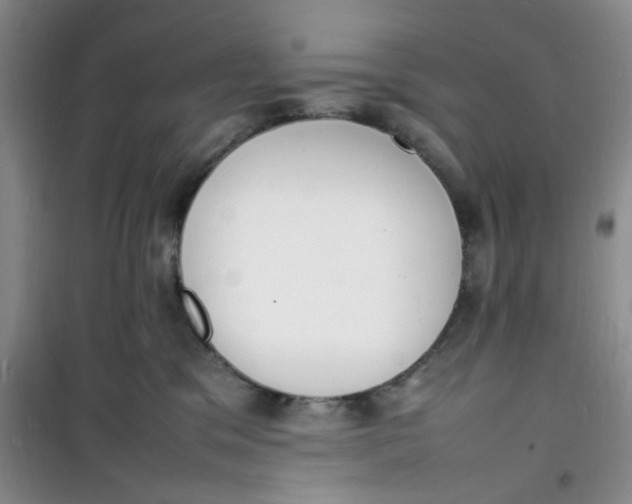 X0000100980329200807151421