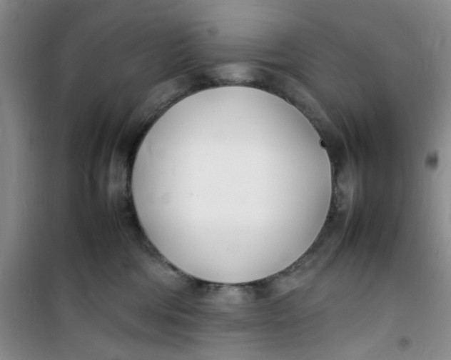 X0000100980330200807151421