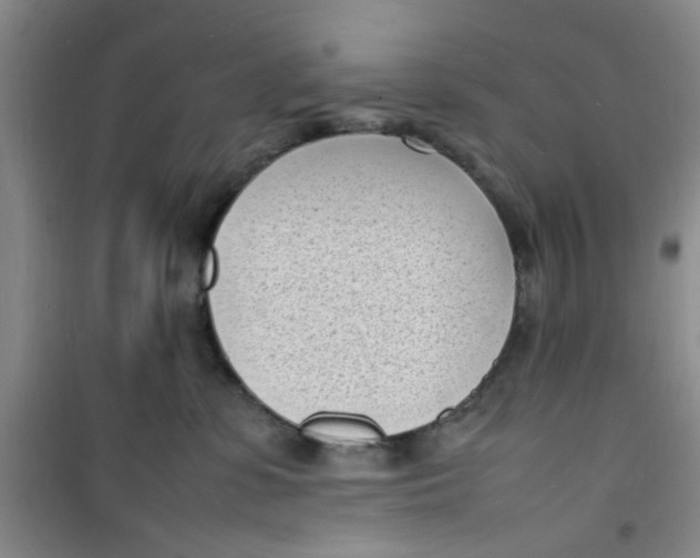 X0000100980331200807151421