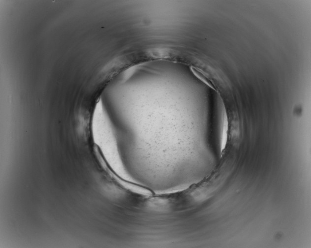 X0000100980332200807151421