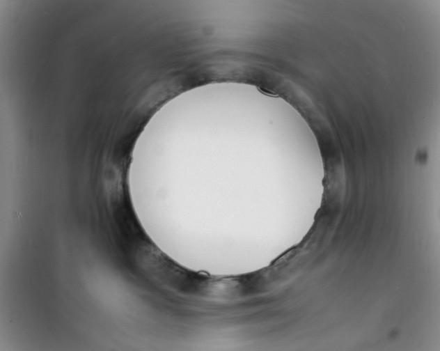 X0000100980333200807151421