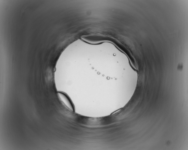 X0000100980335200807151421