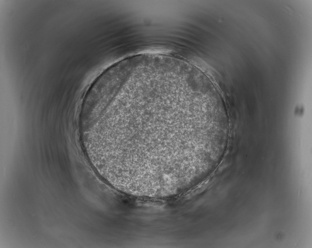 X0000100980337200807151420