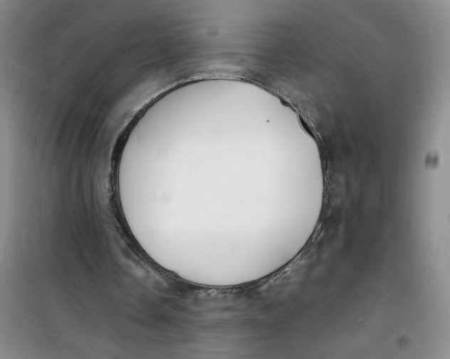 X0000100980338200807151420