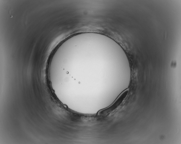 X0000100980340200807151420