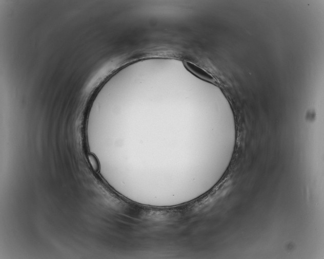 X0000100980341200807151420