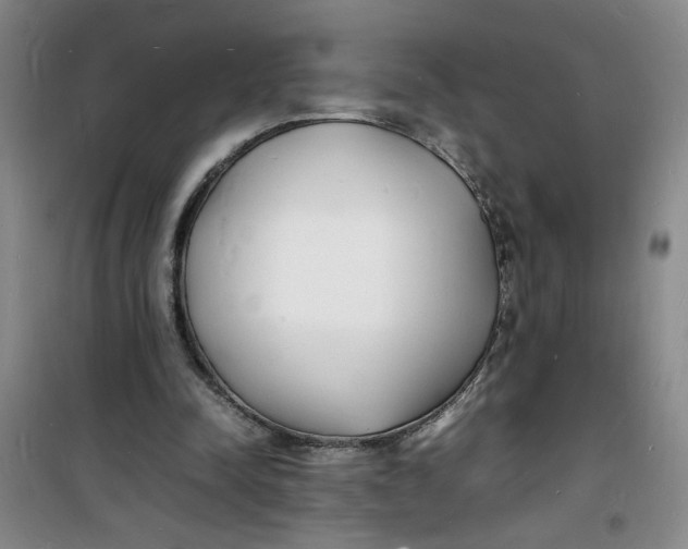 X0000100980342200807151420