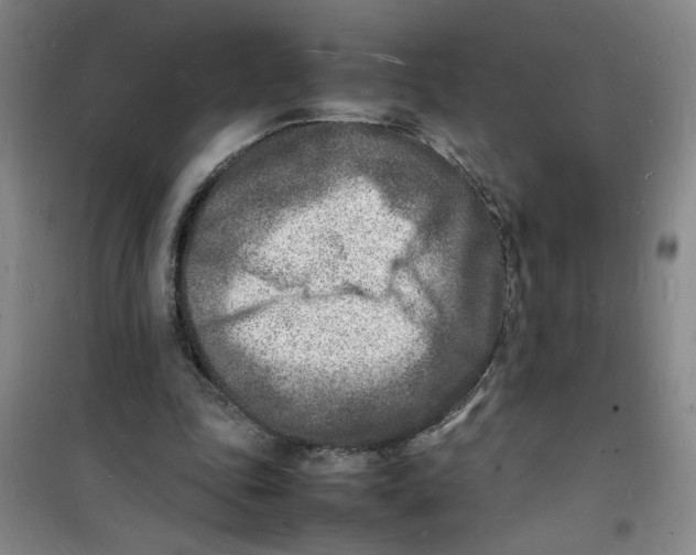 X0000100980343200807151420