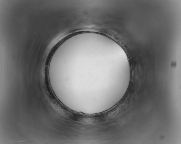 X0000100980344200807151420