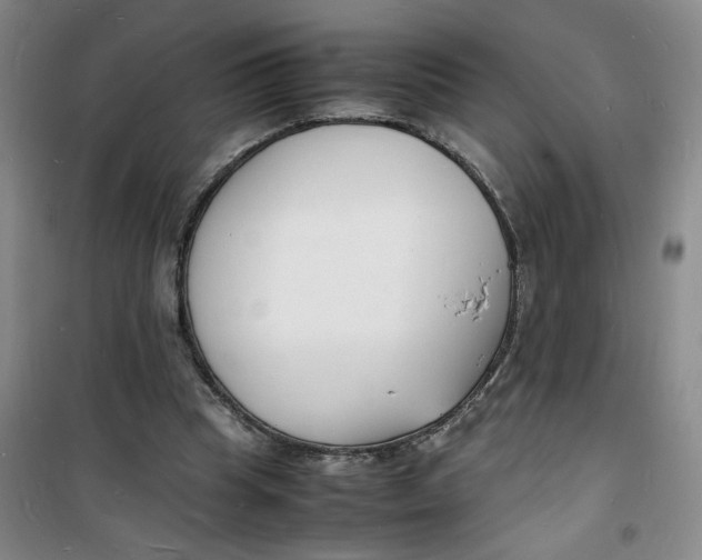 X0000100980345200807151420