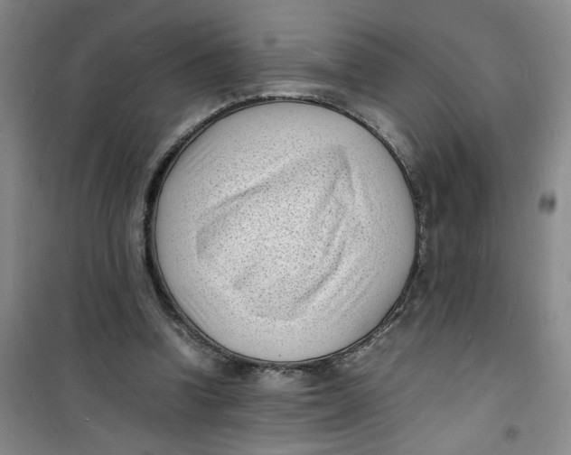 X0000100980346200807151420