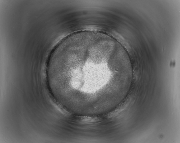 X0000100980347200807151420