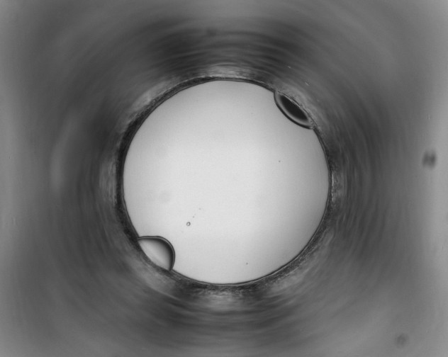 X0000100980349200807151421