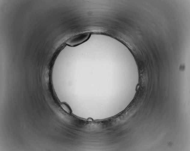 X0000100980350200807151421