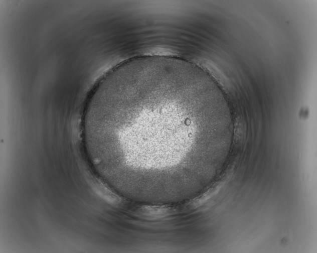 X0000100980351200807151421